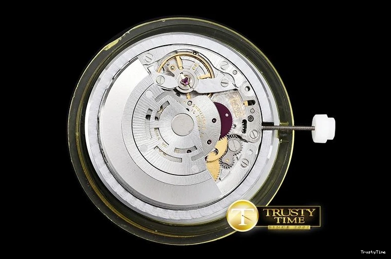 0303 Youthful ROLCEL074D – Cellini 877